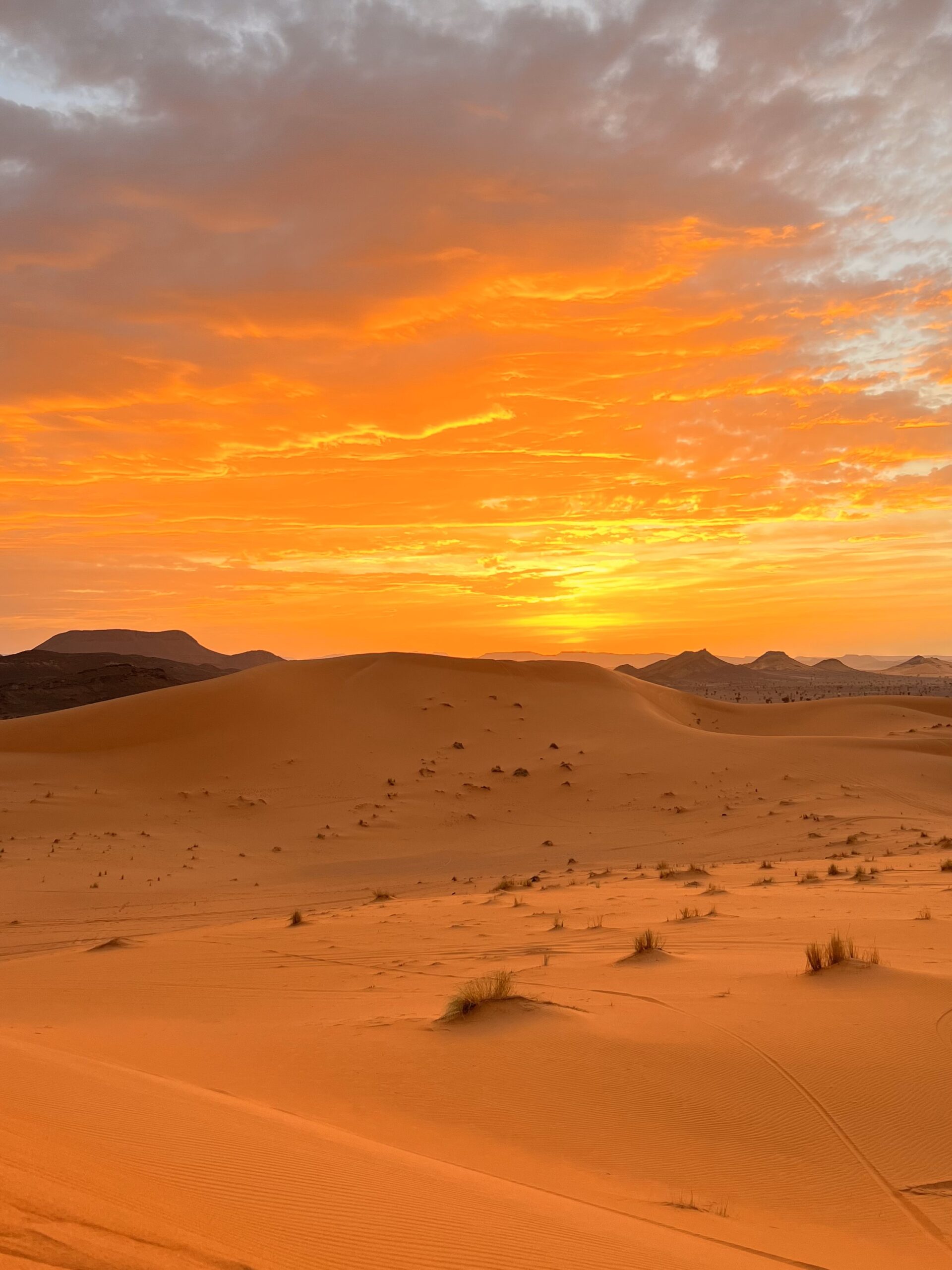 kkarolina desertandmagic sahara morocco