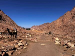 Monte sinai camino kkarolina retiro magikk